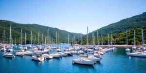Sailboats docked peacefully in a calm harbor.