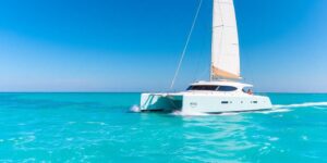Sleek catamaran sailing on sparkling blue ocean.