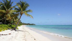 British Virgin Islands beach during calm weather